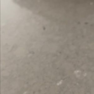 Meet your Posher, Conor